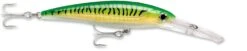 Rapala X-Rap Magnum 40 Big Game Slash Bait -Fishing Gear Sale gold green mackerel c36aafcc 55b7 4b87 b976 933cb1f68086