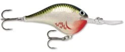 Rapala DT Series Crankbait DT16 -Fishing Gear Sale rapala dt10 bleeding olive shiner b0933817 f4b0 4dbd 8841 3fc7fccc6f40