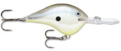 Rapala DT Series Crankbait DT16 -Fishing Gear Sale rapala dt10 disco shad 9632b2c9 276d 4e32 b373 24131fa63205