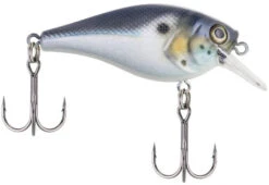 Berkley SquareBull 2 3/8 Inch Shallow Squarebill Crankbait -Fishing Gear Sale squarebull blue black 785f5c02 8d74 4391 8cff efb332981a52