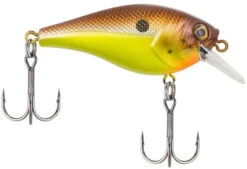 Berkley SquareBull 2 3/8 Inch Shallow Squarebill Crankbait -Fishing Gear Sale squarebull brown mustard 81da5849 8ea2 4f4e b46f 0980ead1b2b1