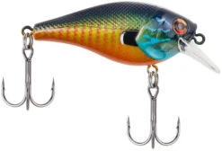 Berkley SquareBull 2 3/8 Inch Shallow Squarebill Crankbait -Fishing Gear Sale squarebull gilly 9823b24f 821b 42a2 bbbb 0c93e43286eb