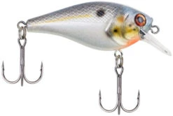 Berkley SquareBull 2 3/8 Inch Shallow Squarebill Crankbait -Fishing Gear Sale squarebull sexier shad 1d609b07 b72e 43cb ae5f 8f3b1f1c079e