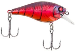 Berkley SquareBull 2 3/8 Inch Shallow Squarebill Crankbait -Fishing Gear Sale squarebull special red craw a3eeef37 c990 4d30 a2a4 9203d3981ecd