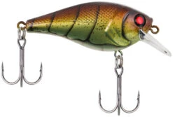 Berkley SquareBull 2 3/8 Inch Shallow Squarebill Crankbait -Fishing Gear Sale squarebull vintage craw 80989045 ac81 41fe b62e aacb608a8003