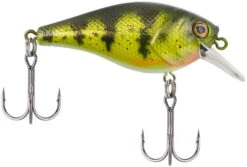 Berkley SquareBull 2 3/8 Inch Shallow Squarebill Crankbait -Fishing Gear Sale squarebull yellow perch 08cc63df 2824 4d70 8487 3e7beebcaa15