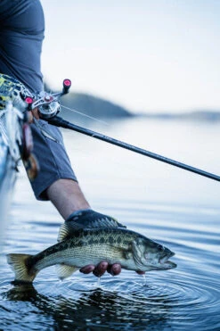 Temple Fork Outfitters Tactical Elite Bass Baitcasting Rods -Fishing Gear Sale tfo tactical elite bass bottom banner lifestyle 1 1