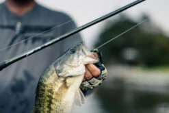 Temple Fork Outfitters Tactical Elite Bass Baitcasting Rods -Fishing Gear Sale tfo tactical elite bass bottom banner lifestyle 5 1