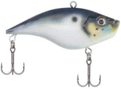 Berkley Warpig Lipless Crankbait -Fishing Gear Sale warpig blue back